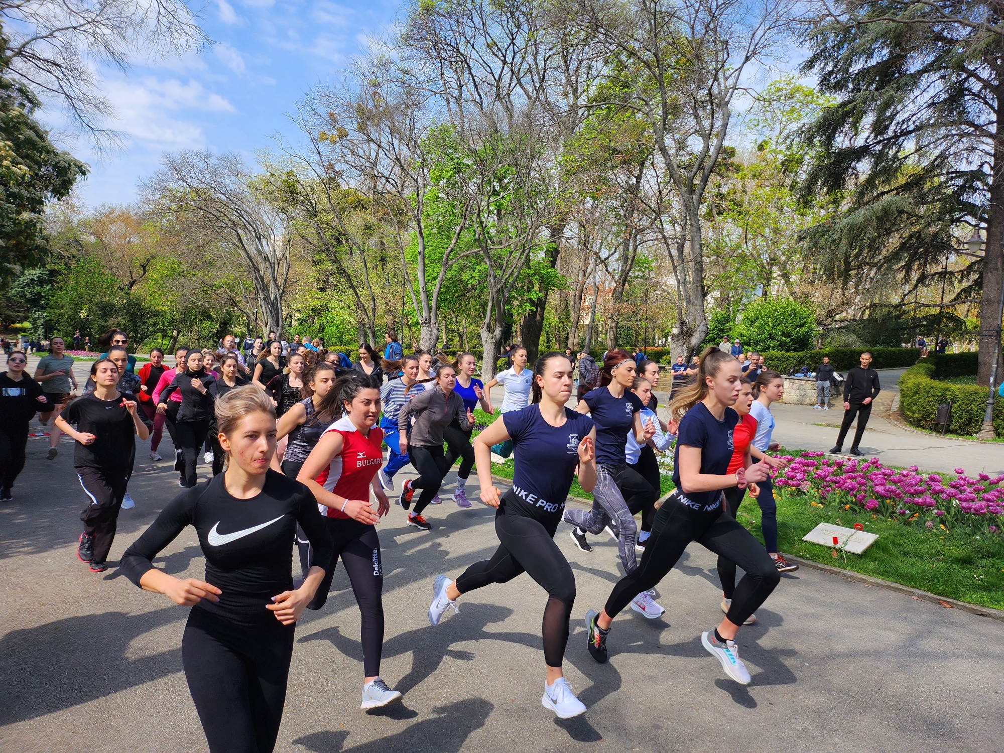 Свързани файлове